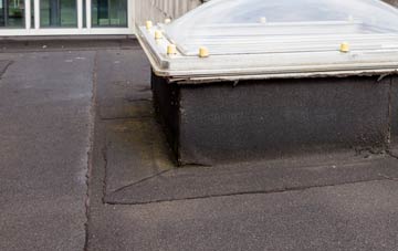 disadvantages of St Johns Highway flat roofs