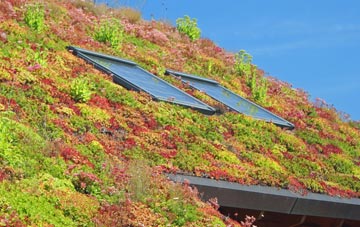 St Johns Highway living roof systems
