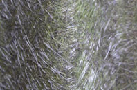 St Johns Highway fibreglass roof work